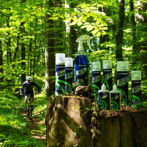 Productos para bicicletas en un bosque sobre un tocón